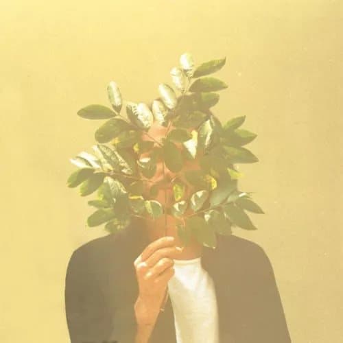 FKJ French Kiwi Juice (Vinyl) 12″ Album New