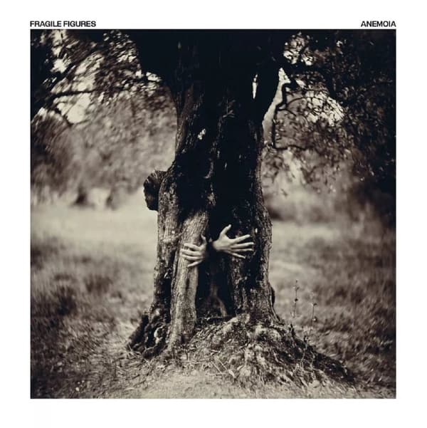Fragile Figures Anemoia Vinyl NEW New