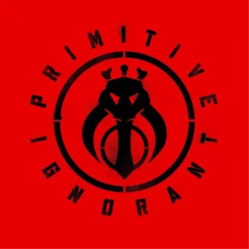 Primitive Ignorant Sikh Punk (Vinyl) 12″ Album New