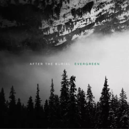 After The Burial Evergreen (Vinyl) 12″ Album New