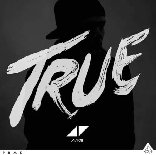 Avicii TRUE (Vinyl) 12″ Album New