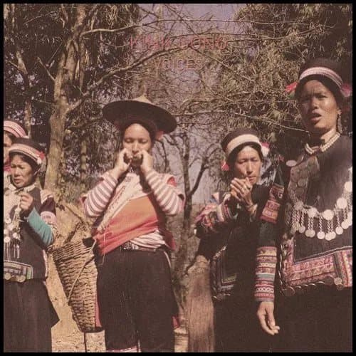 Kink Gong Voices (Vinyl) 12″ Album New