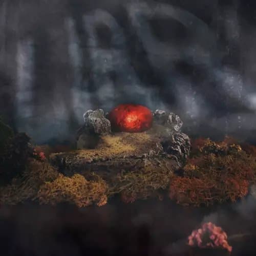 Lirr God’S on Our Side;Welcome to the Jungle (Vinyl) New