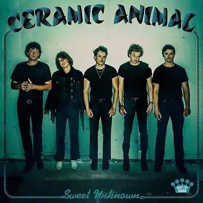 Ceramic Animal Sweet Unknown (Vinyl) 12″ Album Coloured Vinyl New
