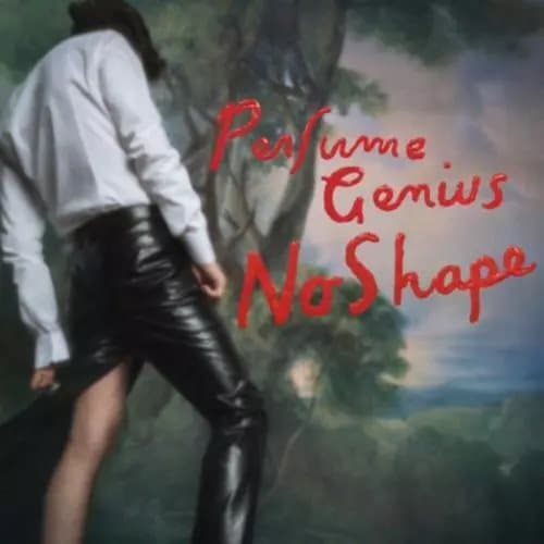 Perfume Genius No Shape (Vinyl) 12″ Album New