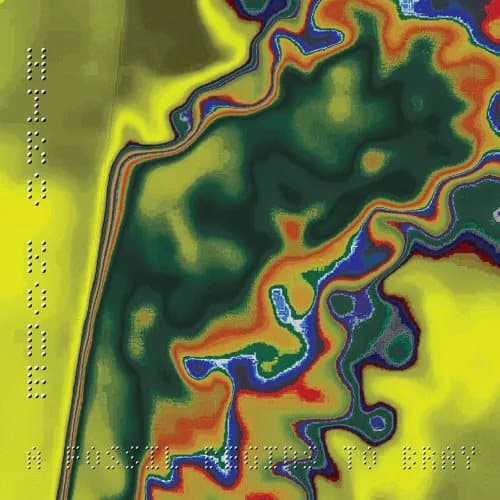 Hiro Kone A Fossil Begins to Bray (Vinyl) New