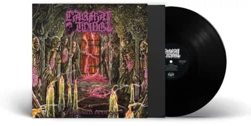 Carnal Tomb Embalmed in decay (Vinyl) 12″ Album New