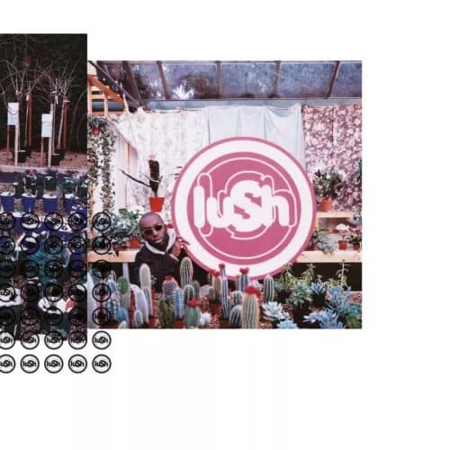 Lush Lovelife (Vinyl) 12″ Album New