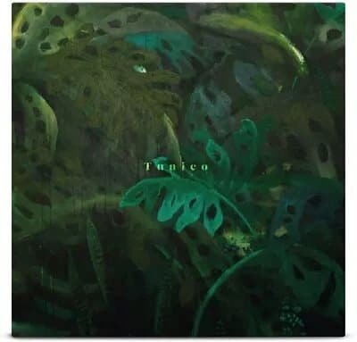 Tunico Tunico (Vinyl) 12″ Album New