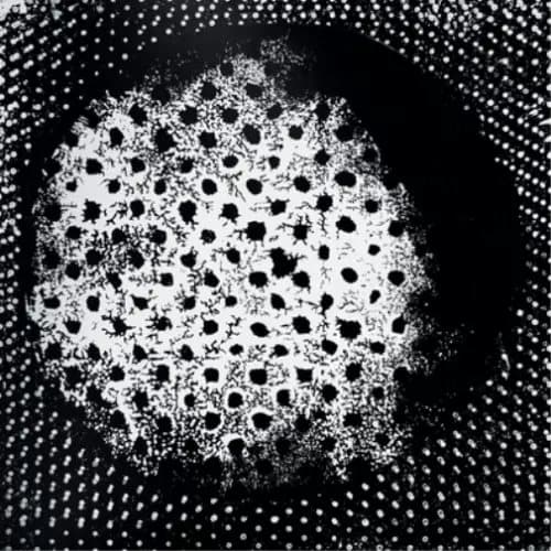 Biosphere Patashnik (Vinyl) 12″ Album New