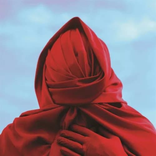 Not Scientists Staring at the Sun (Vinyl) New