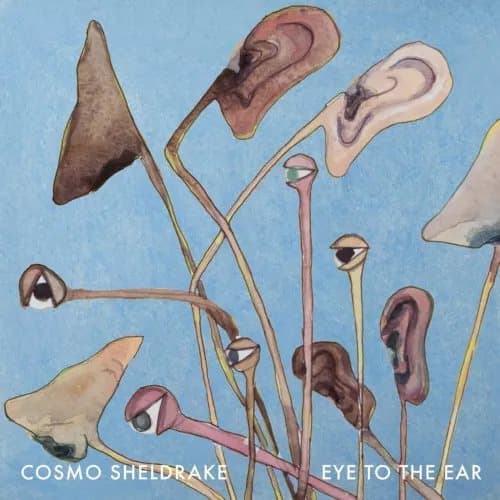 Cosmo Sheldrake Eye to the Ear (Vinyl) 12″ Album New
