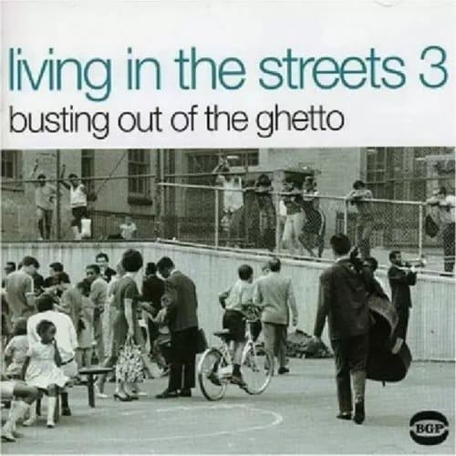 VARIOUS ARTISTS Living in the Streets, Vol. 3 (Vinyl) New