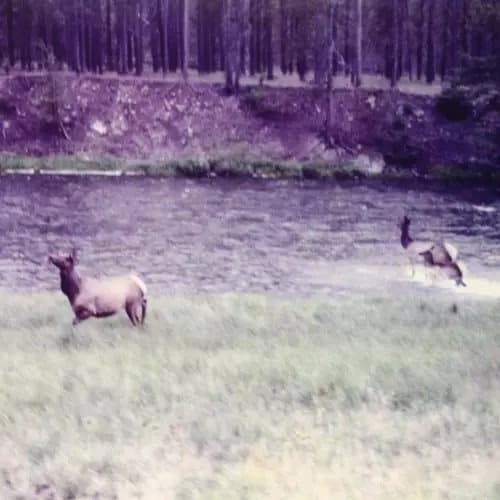Seahaven Ghost + Acoustic Sessions (Vinyl) New