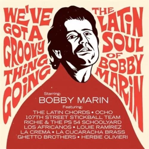 Various Artists We’ve Got a Groovy Thing Going: The Latin Soul of Bobby (Vinyl) New