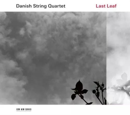 Danish String Quartet Last Leaf (Vinyl) 12″ Album New