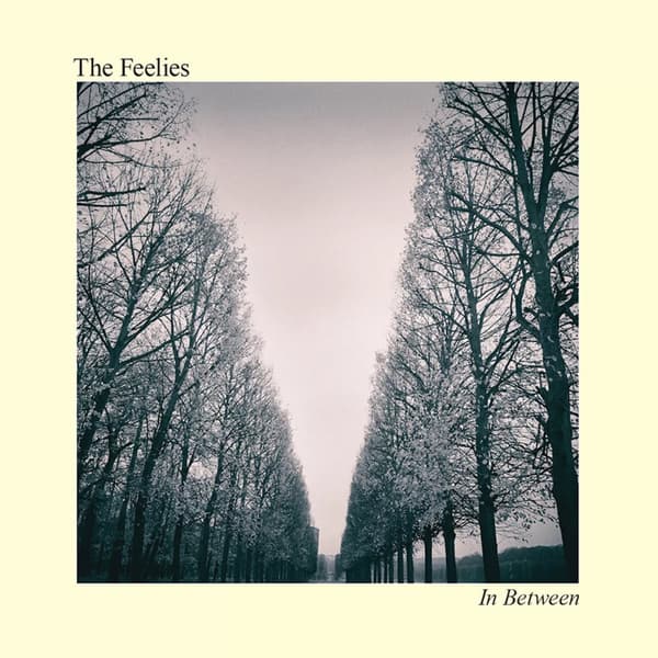 The Feelies In Between (Vinyl) 12″ Album New