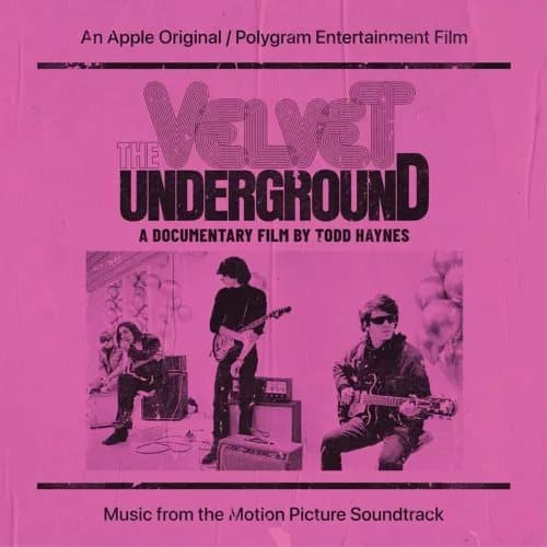 The Velvet Undergr The Velvet Underground: A Documentary Film By Todd Ha (Vinyl) New