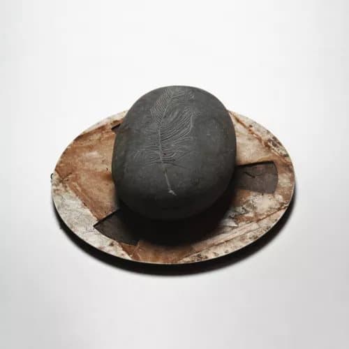 Erland Cooper Erland Cooper: Carve the Runes Then Be Content With Silenc (Vinyl) New