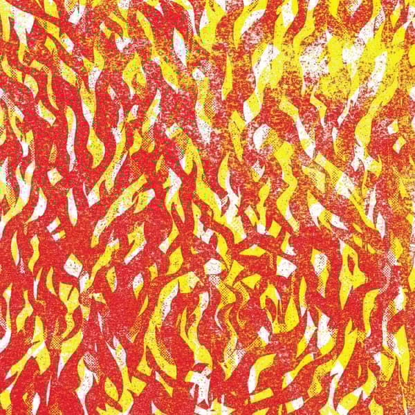 The Bug Fire (Vinyl) 12″ Album Coloured Vinyl New