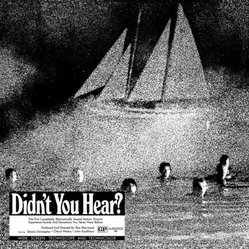 Didn’t You Hear? (Vinyl) 12″ Album New