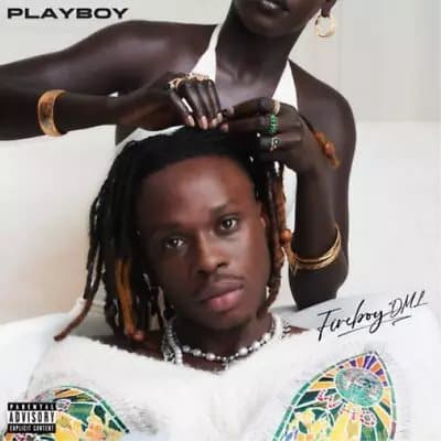 Fireboy DML Playboy (Vinyl) 12″ Album New