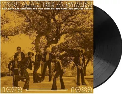 Various Artists You Can Be a Star!: Deep Disco and (Vinyl) (PRESALE 22/11/2024) New