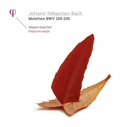 Johann Sebastian Bach Johann Sebastian Bach: Motetten, BWV 225-230 (Vinyl) New
