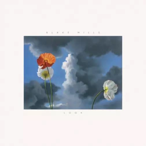 Blake Mills Look (Vinyl) 12″ Album New