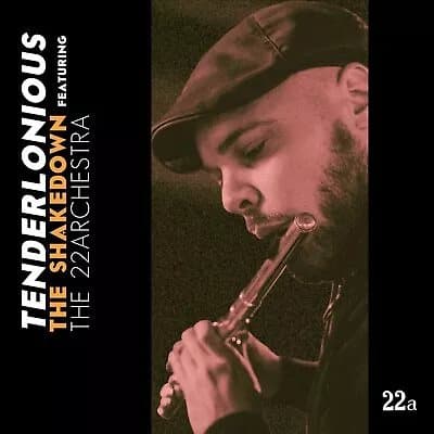 Tenderlonious The Shakedown Feat. The 22archestra (Vinyl) New