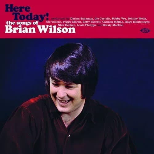 Various Artists Here Today!: The Songs of Brian Wilson (Vinyl) 12″ Album New
