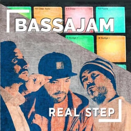 Various Artists Real Step (Vinyl) New