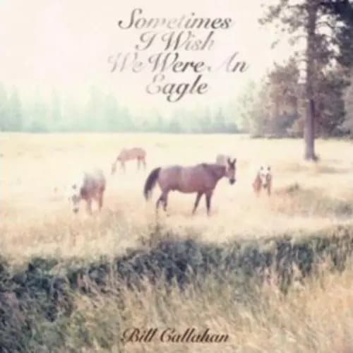 Bill Callahan Sometimes I Wish I Were an Eagle (Vinyl) 12″ Album New
