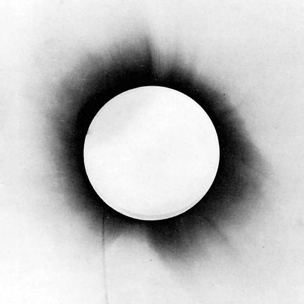 Architects UK All Our Gods Have Abandoned Us (Vinyl) New