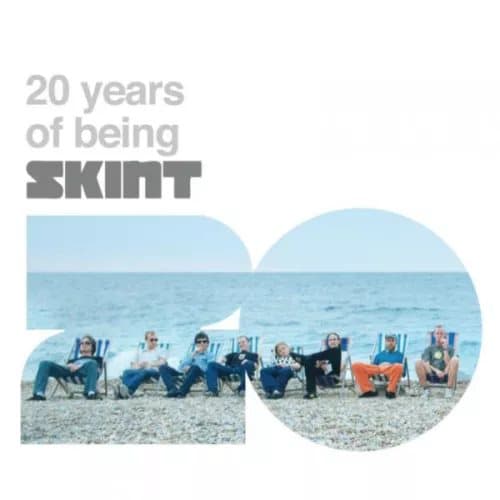 Various Artists 20 Years of Being Skint (Vinyl) 12″ Album Box Set New