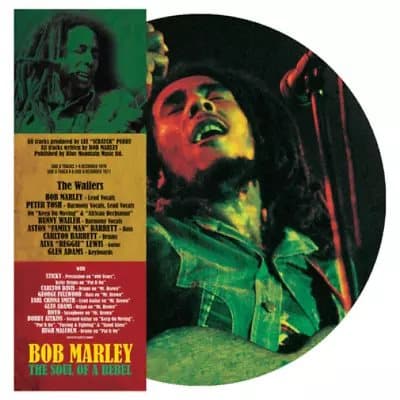 Bob Marley The Soul of a Rebel (Vinyl) 12″ Album Picture Disc New