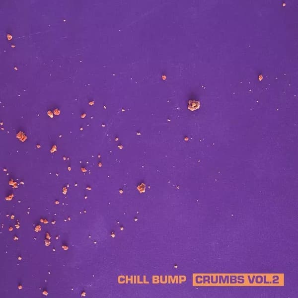Chill Bump Crumbs Vol 2 (Vinyl) New
