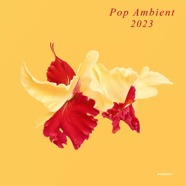 Various Artists Pop Ambient 2023 (Vinyl) 12″ Album New