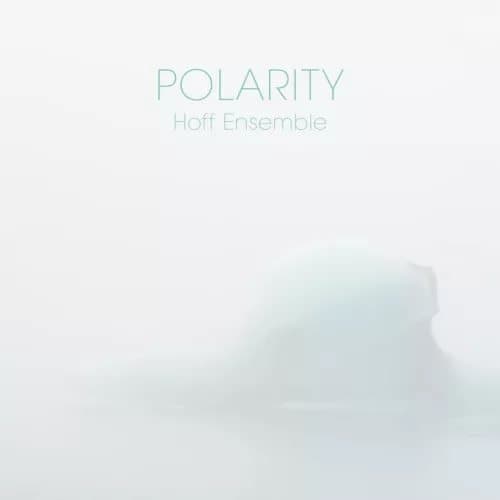 Hoff Ensemble POLARITY - an acoustic jazz project (Vinyl) New