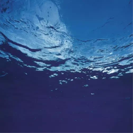 Akira Ito Marine Flowers (Vinyl) 12″ Album New