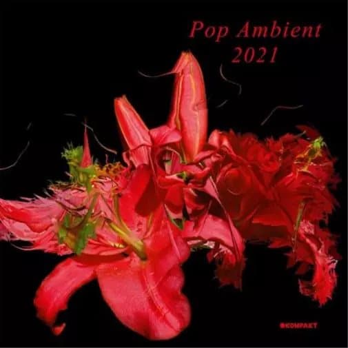 Various Artists Pop Ambient 2021 (Vinyl) 12″ Album New