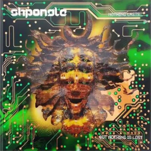 Shpongle Nothing Lasts… But Nothing Is Lost (Vinyl) 12″ Album New