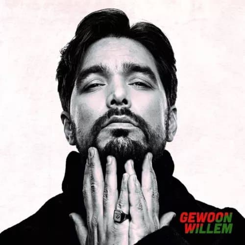 Waylon Gewoon Willem (Vinyl) New