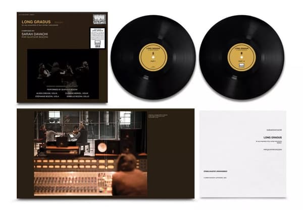 Sarah Davachi Sarah Davachi: Long Gradus (Vinyl) 12″ Album New