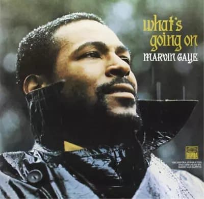 Marvin Gaye What’s Going On (Vinyl) 12″ Album New