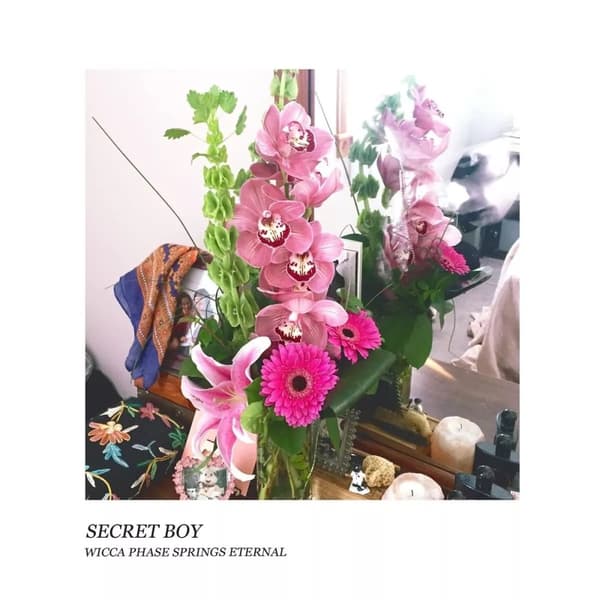 Wicca Phase Springs Eternal Secret Boy (Doublemint (Vinyl) New