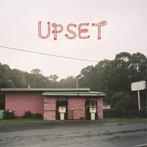 Upset Upset (Vinyl) 12″ Album New