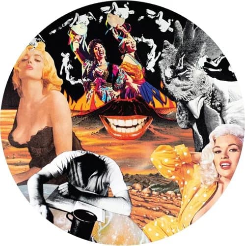 Nurse With Wound Sylvie and Babs (Vinyl) 12″ Album Picture Disc New