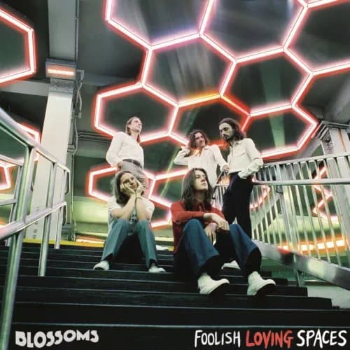 Blossoms Foolish Loving Spaces (Vinyl) 12″ Album New