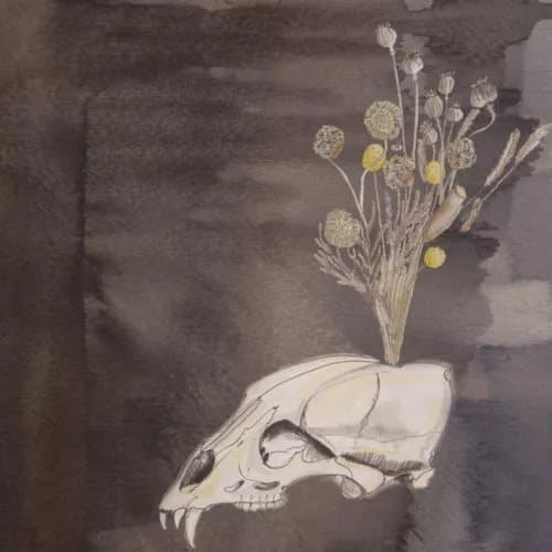 Steve Gunn & the Black Twig Pickers Seasonal Hire (Vinyl) New